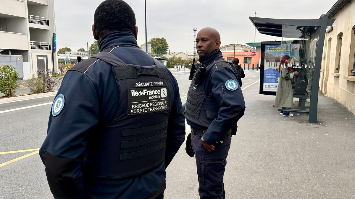 « On dissuade beaucoup » : bientôt deux fois plus d’agents de sécurité dans les transports d’Île-de-France