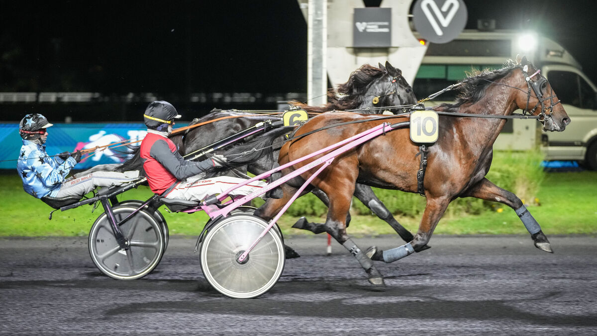 Arrivée du quinté du vendredi 24 octobre à Paris-Vincennes : Isyboy de Cinglais de haute lutte