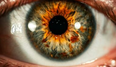 Cette puce électronique redonne la vue aux personnes aveugles : une première mondiale bouleversante