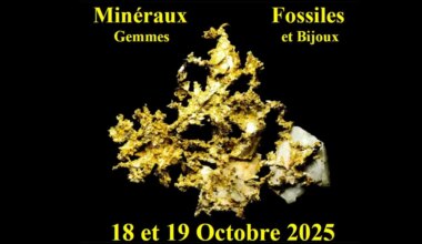 Saint-Sébastien-sur-Loire : 42ème Salon minéralogique, paléontologique, gemmes et bijoux
