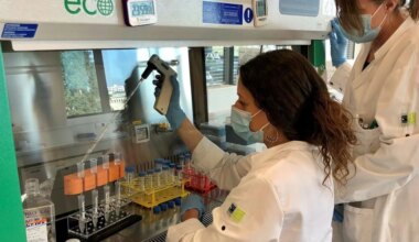 Une nouvelle équipe pour la société pépite Ose Immuno, basée à Nantes et Paris