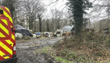 En Ille-et-Vilaine, ses bovins « en souffrance » avaient été évacués : l’agriculteur