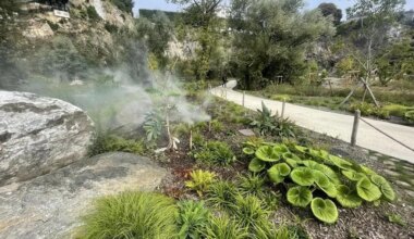 Escalades, visites… L’ouverture de la partie est du Jardin extraordinaire à Nantes, ça se