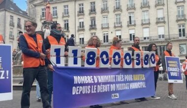 VIDEO. L’action choc de l’association de défense des animaux à Nantes