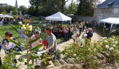 Pépites botaniques ce dimanche au sud de Nantes