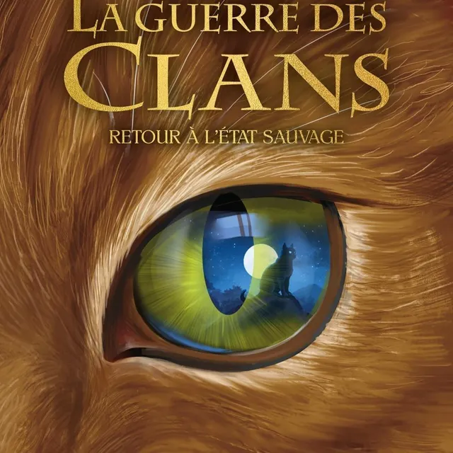 La série fantasy à succès   fnac  photo la série fantasy à succès  ©  fnac