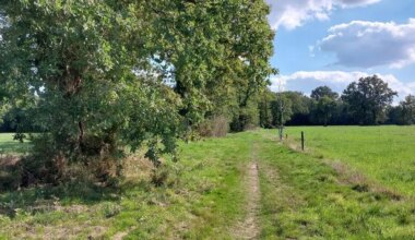 À vélo, prenez un bon bol d’air frais dans le bocage de Grand Lieu : découvrez le circuit