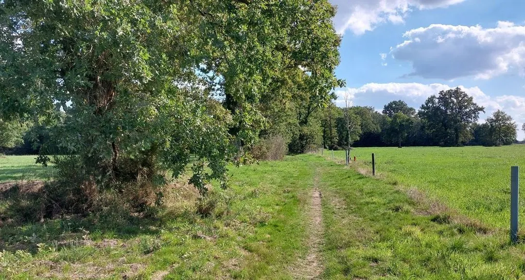 À vélo, prenez un bon bol d’air frais dans le bocage de Grand Lieu : découvrez le circuit