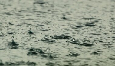 « Il y avait 40 cm d’eau » : surprise par un orage, une personne bloquée dans sa voiture