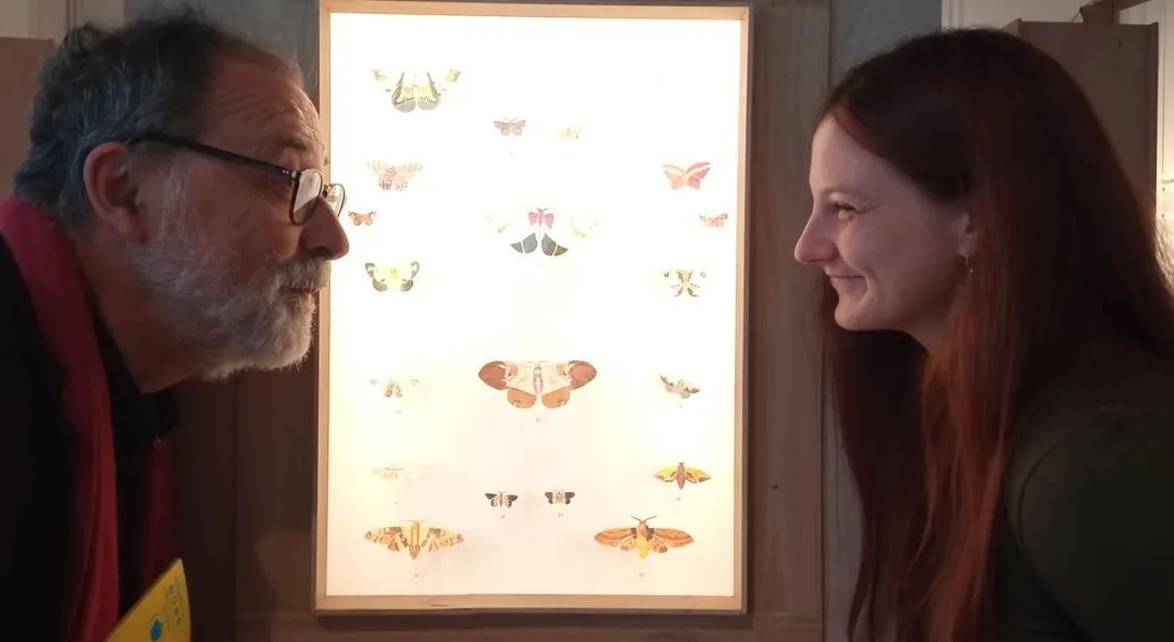 Au château de la Gobinière, à Orvault, une exposition sur des papillons sublimés par l’artiste