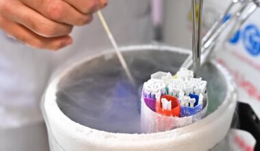 PMA post-mortem en Bretagne : le recours d’une veuve débouté par la justice