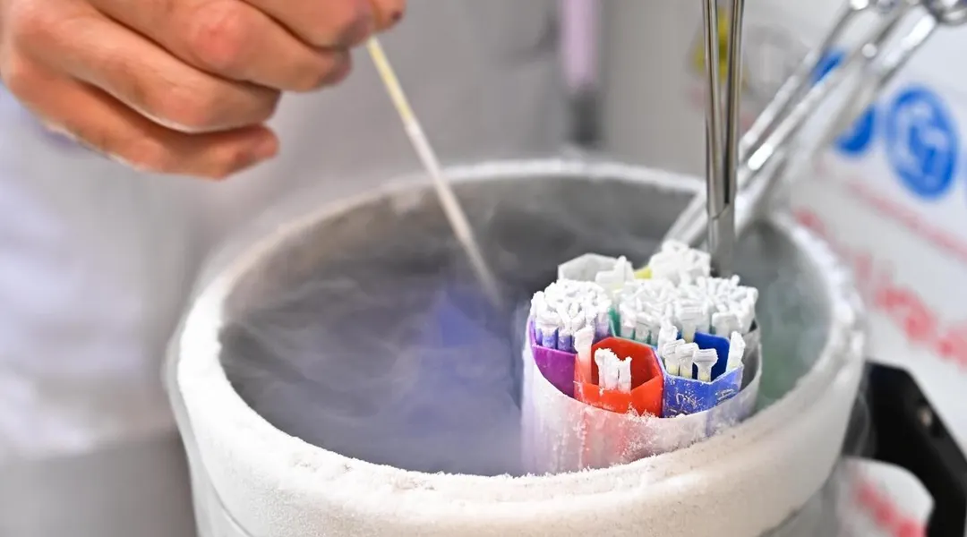 PMA post-mortem en Bretagne : le recours d’une veuve débouté par la justice