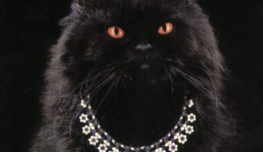 Pourquoi le collier Wladimir de Boucheron fascine encore Paris en 2025