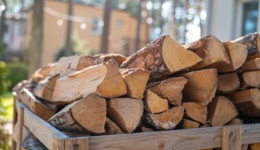 Prix d’un stère de bois en 50 cm en octobre 2025 ?