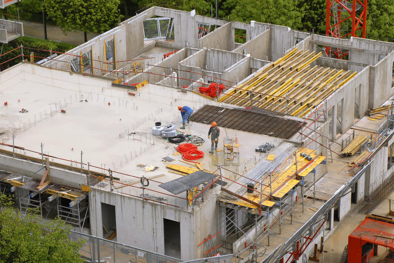 Logement : construire sans détruire le vivant, le pari de 3 ONG pour révolutionner l’urbanisme en Île-de-France