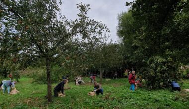 A Rouen, le jardin de Repainville, quatre hectares de paradis vert – Libération