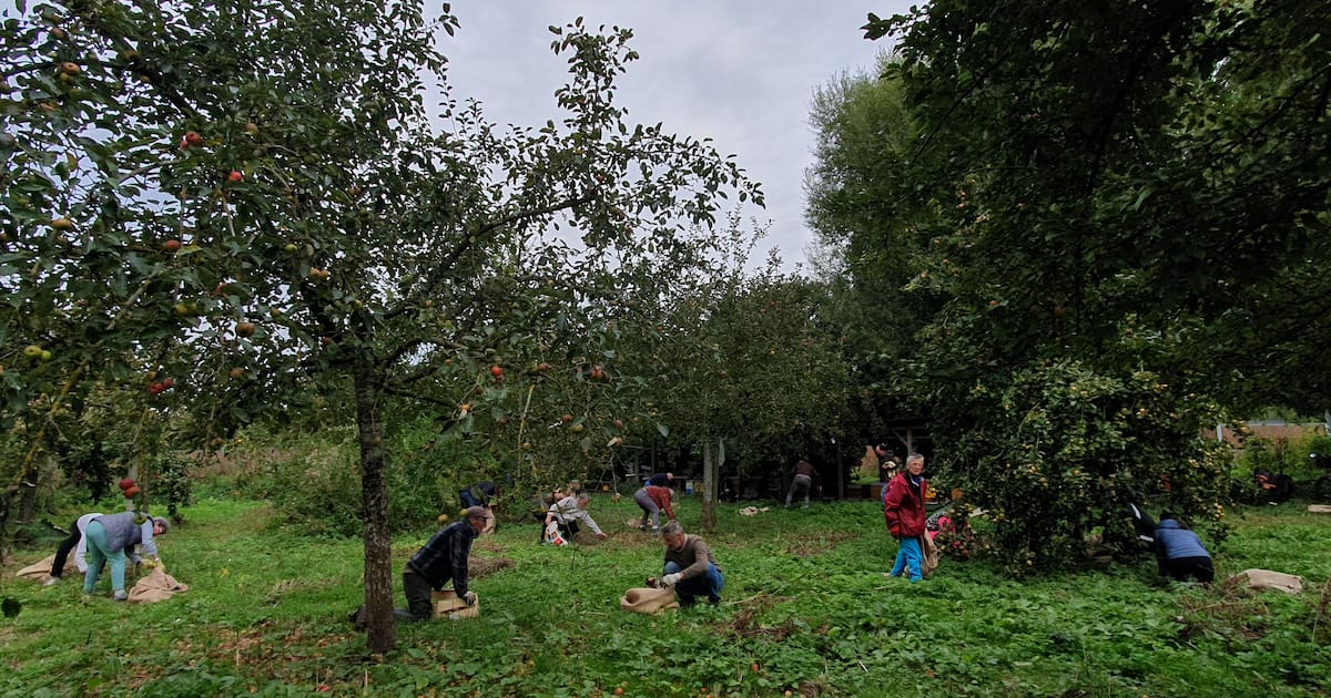 A Rouen, le jardin de Repainville, quatre hectares de paradis vert – Libération