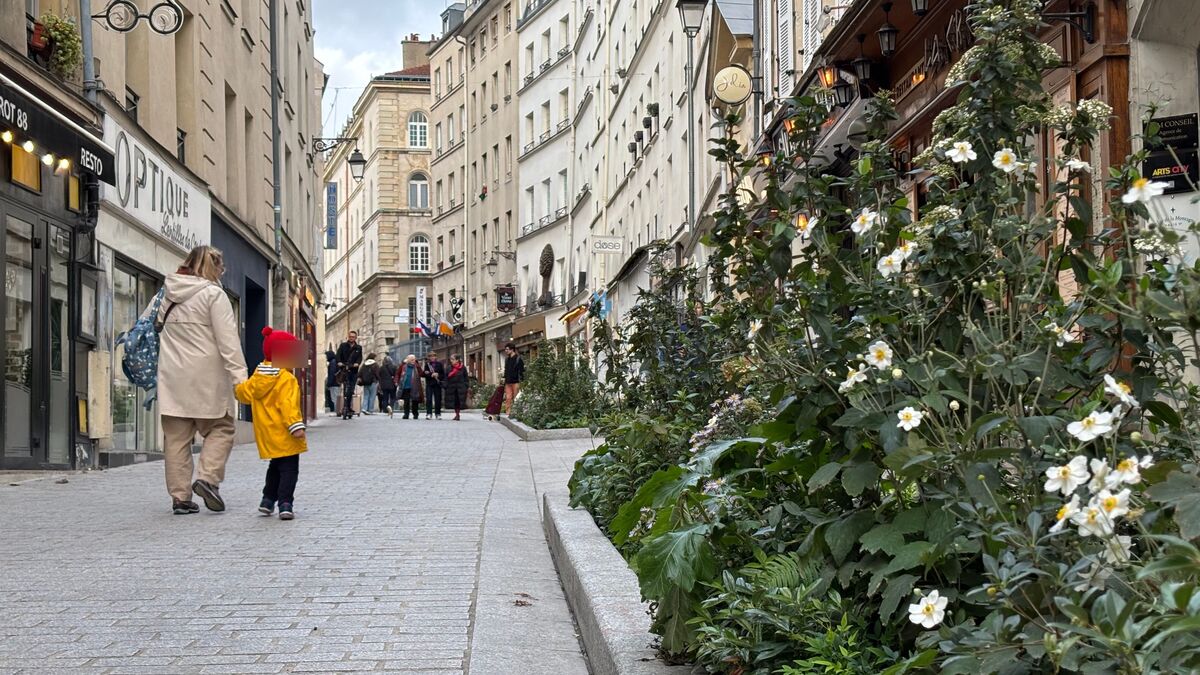 « La rue Mouffetard restera toujours la rue Mouffetard » : à Paris, l’emblématique artère a-t-elle perdu son âme ?