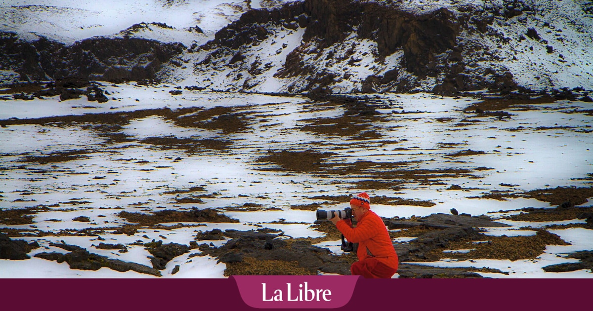 La lumière à travers l'œil du photographe Matthieu Ricard : "je déclenche quand je ne peux pas résister"