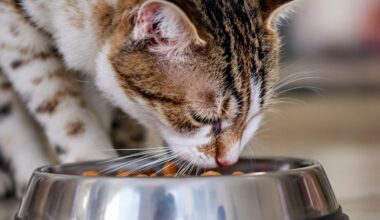 Xhpw6lzy1g 1759347147