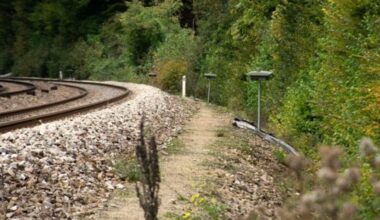 Un « son et lumière » pour éviter les collisions entre train et animaux sauvages