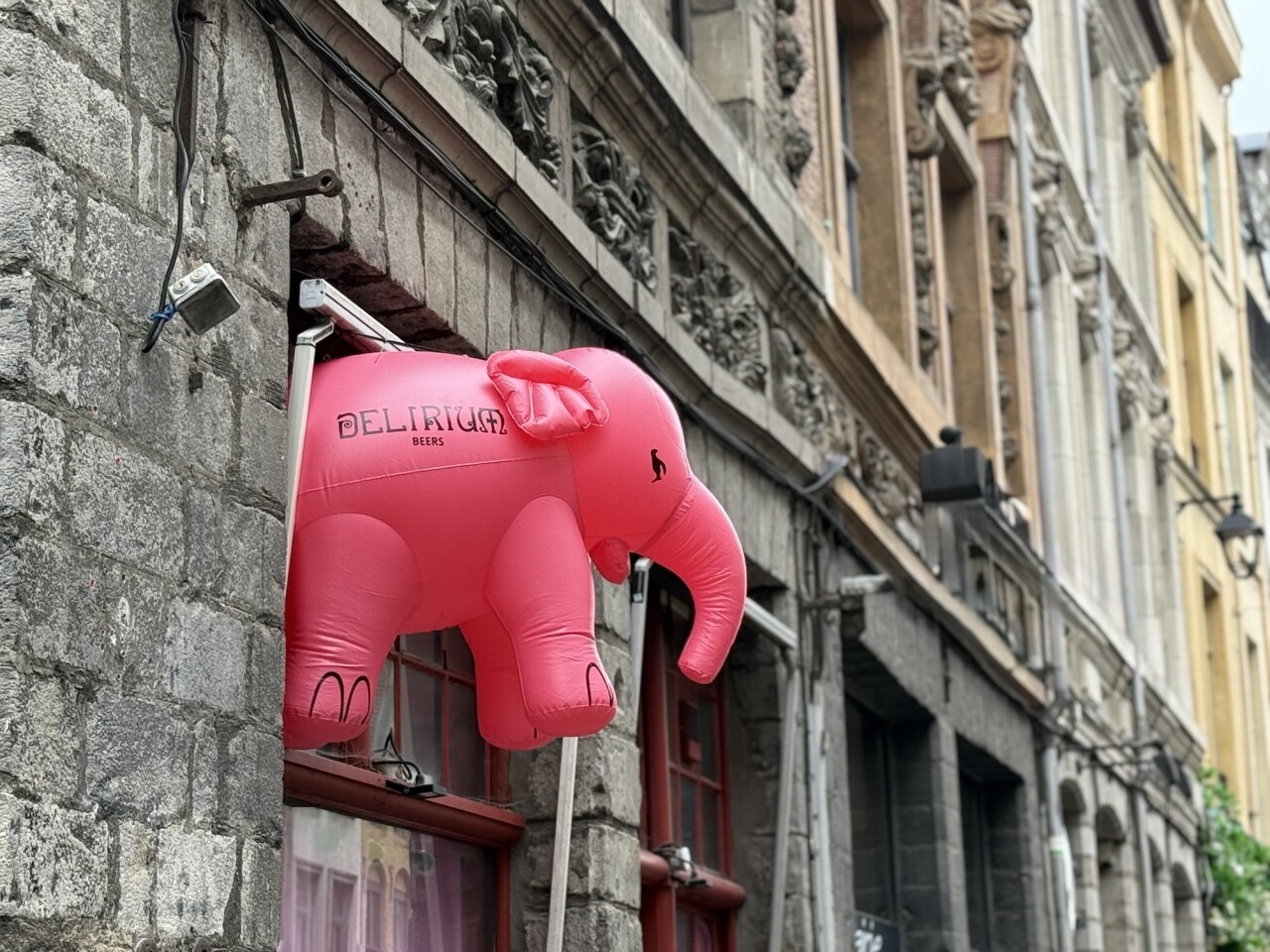 Lille. La marque Delirium va faire un retour fracassant avec l'ouverture d'un bar de 800 m²