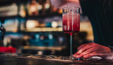 Les médicaments antiobésité pourraient bien jouer un rôle contre l’alcoolisme