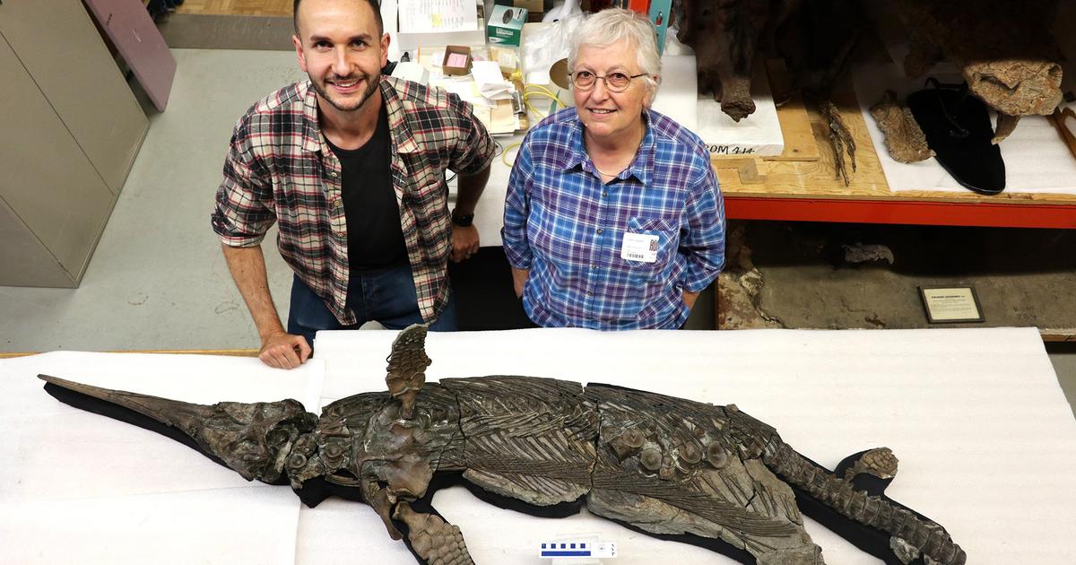 Des chercheurs britanniques découvrent un incroyable reptile préhistorique «de la taille d’un dauphin»