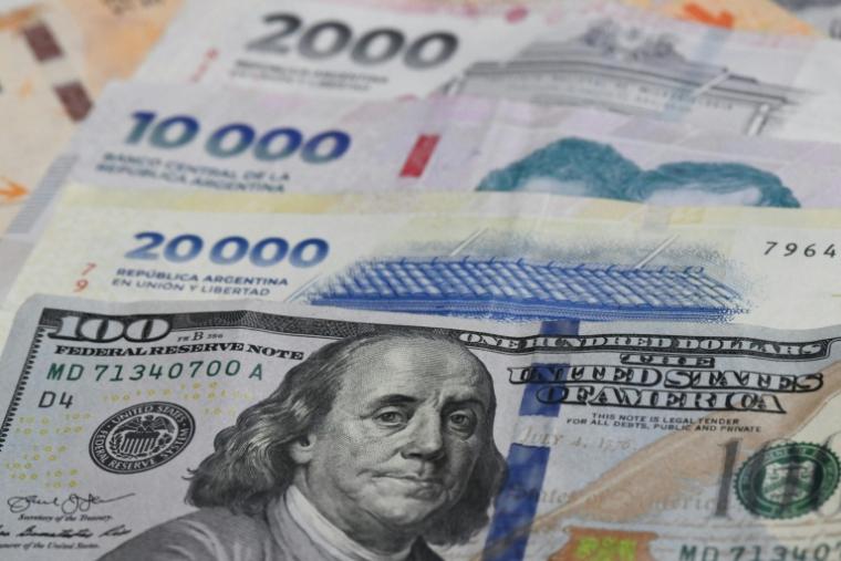 Des billets de 20.000, 10.000 et 2.000 pesos argentins et un billet de 10 dollars américains, le 11 avril 2025 à Buenos Aires ( AFP / LUIS ROBAYO )