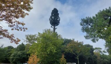 Marseille. Bouygues Télécom fait plier Benoît Payan, une antenne va pousser dans ce quartier