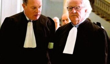 Interview. Cédric Jubillar. "Il a la tête de l'emploi, on l'a condamné pour ça", analyse l'avocat de Jacques Viguier