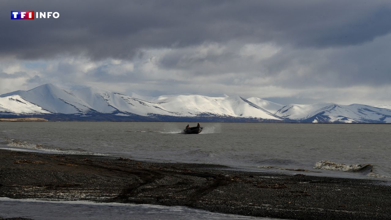 "Tunnel Poutine-Trump" : en quoi consiste ce projet de souterrain sous-marin entre l'Alaska et la Russie ?