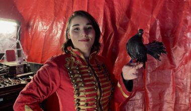 le cirque de Madame Loyal s'installe à Aubagne
