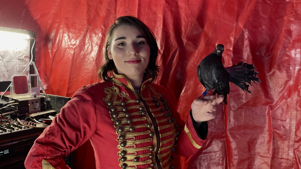 le cirque de Madame Loyal s'installe à Aubagne