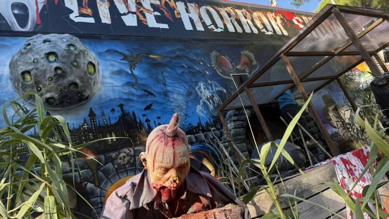 Ambiance ensorcelante à Magic Park Land, où décors, maisons hantées et nocturnes vous feront vivre les frissons d’Halloween.