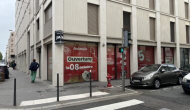 Peu présent à Lyon, ce grand magasin pour animaux ouvre dans cet arrondissement