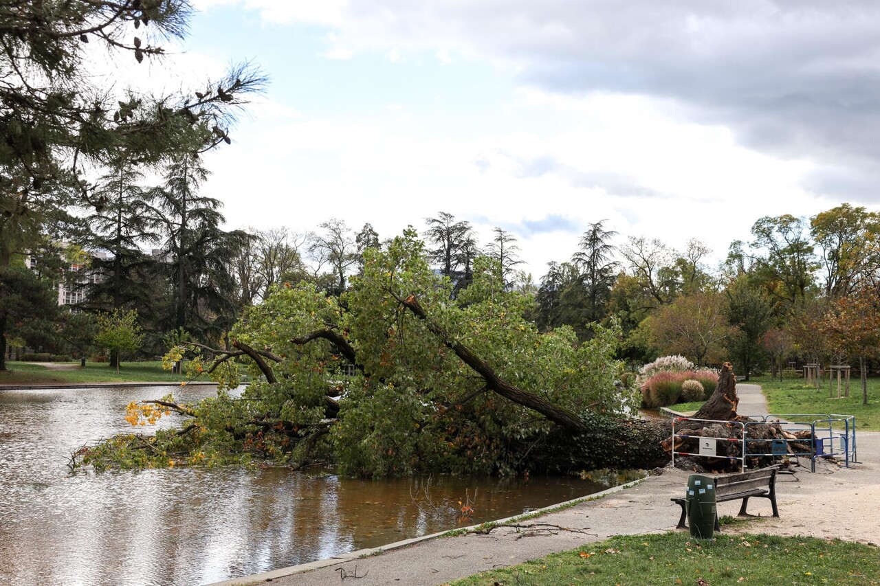 les dégâts à Grenoble et en Isère