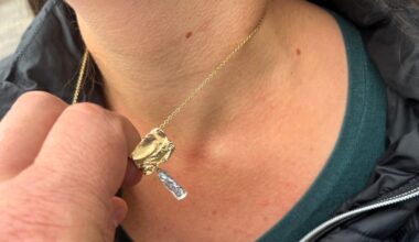 l'homme n'en était pas à son coup d'essai