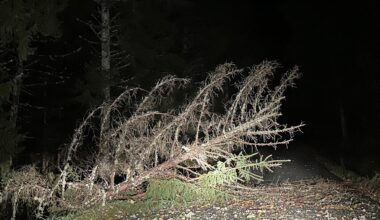 des vents à 121 km/h ont soufflé dans cette commune