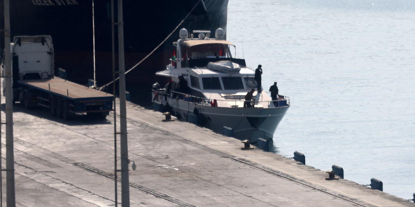 plusieurs des 470 militants de la flottille pour Gaza interpellés par Israël ont été expulsés