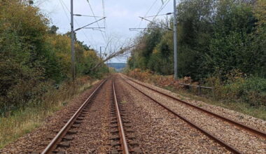 Un riverain fait tomber un arbre sur la caténaire, le trafic SNCF interrompu entre Cherbourg et Valognes