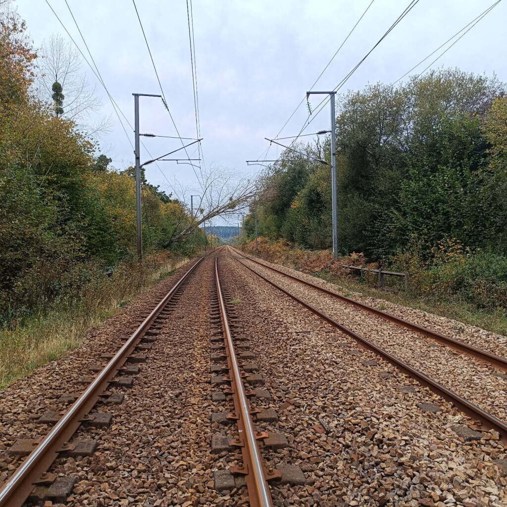 Un riverain fait tomber un arbre sur la caténaire, le trafic SNCF interrompu entre Cherbourg et Valognes