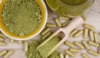 “Naturel et sans danger” ? Ce que cache vraiment cette plante venue d’Asie