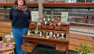 découvrez les nouveautés de la médiathèque du Petit-Quevilly