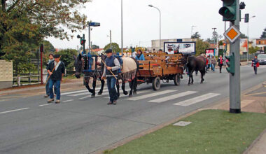la Transhumance Urbaine de retour le 5 octobre