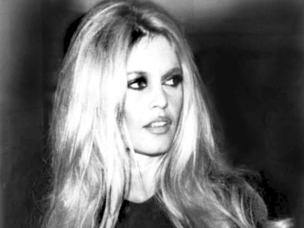 Var : Brigitte Bardot hospitalisée à Toulon