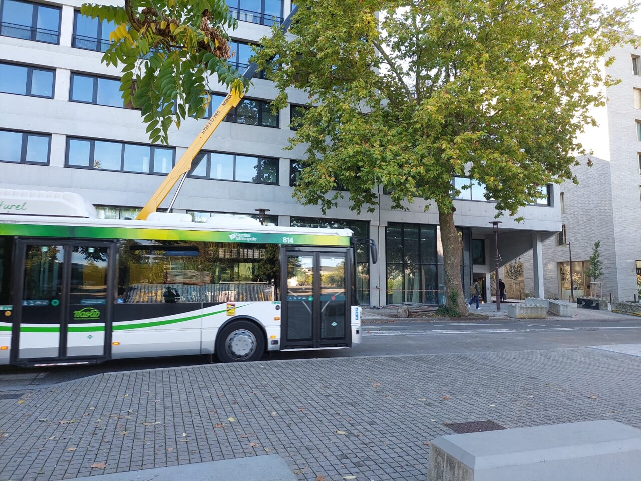 les deux agresseurs présumés interpellés