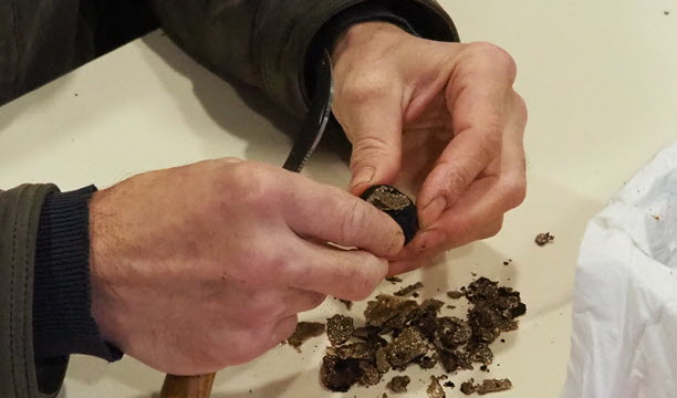 Canifage ©Truffe 54 Lorraine