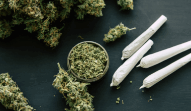 il fuit la police à trottinette avec 400 g de cannabis, sa cavale finit dans un appartement