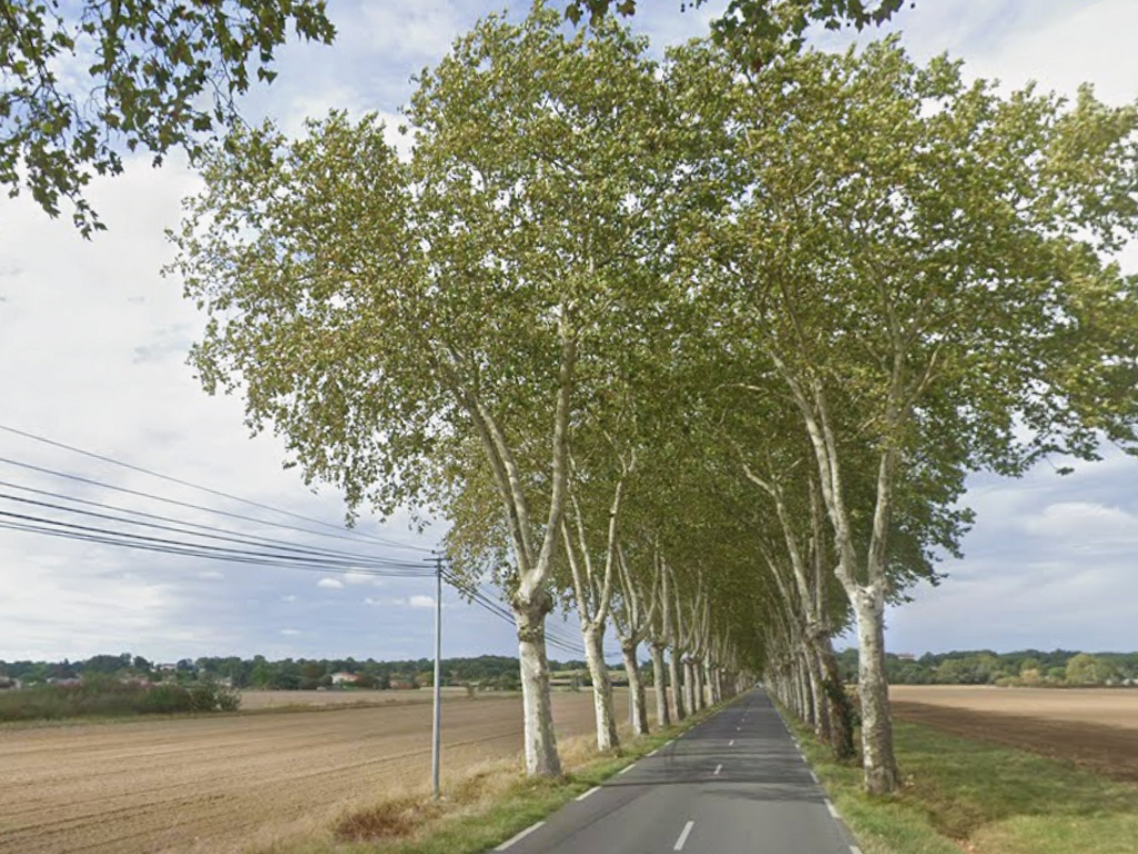 Près de Toulouse. Une personne est morte après avoir heurté un platane avec son véhicule